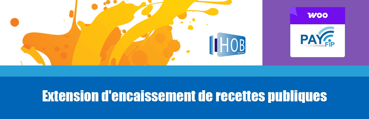 Extension Woocommerce Payfip