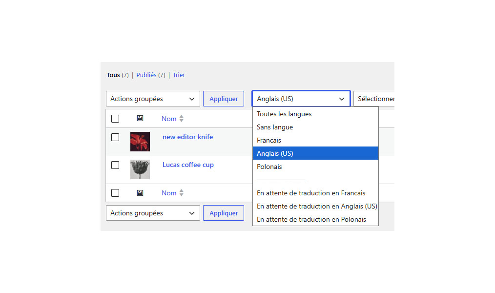 HOB Multilingue pour WooCommerce – Image 3